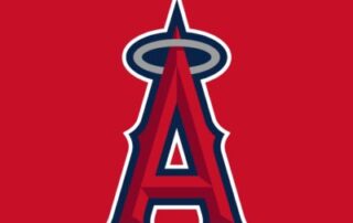 Family Fun Anaheim Angels